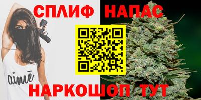 ГАЛЛЮЦИНОГЕННЫЕ ГРИБЫ Нальчик